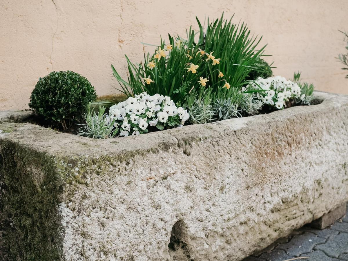 B&B Roudenhaff Echternach Luaran gambar