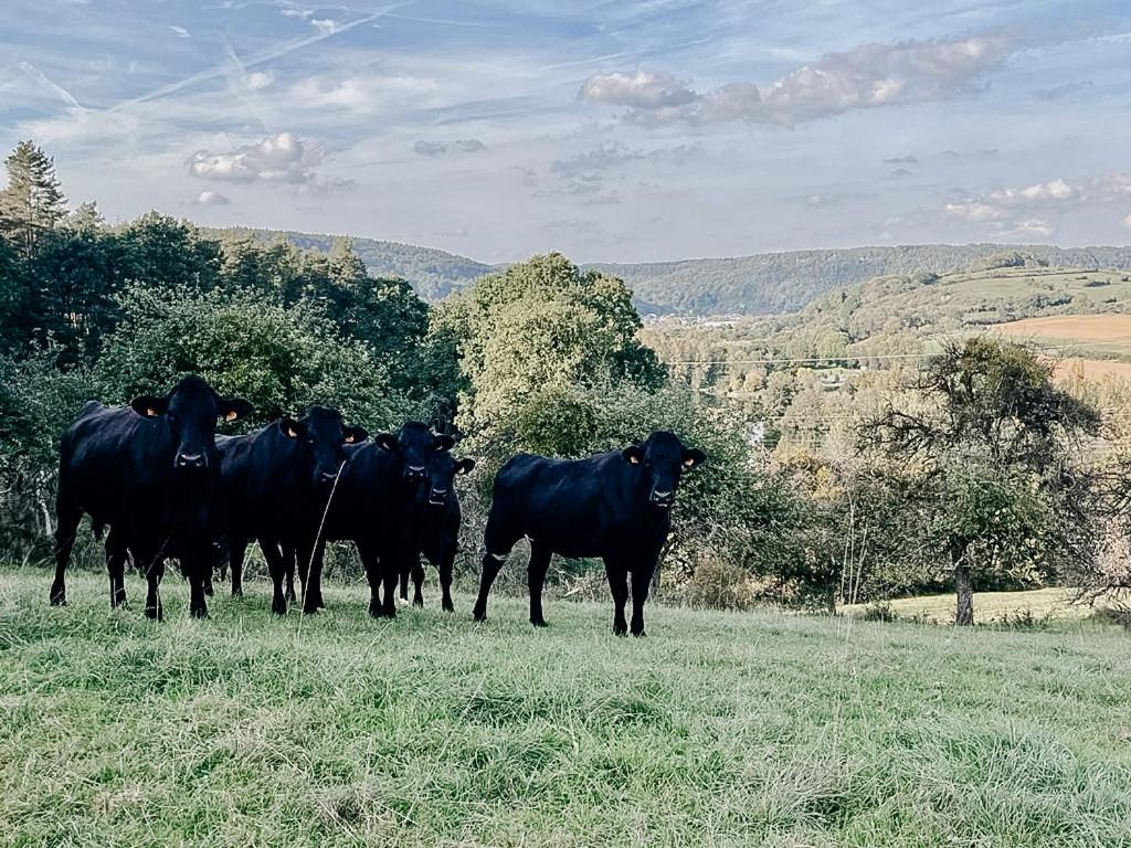 B&B Roudenhaff Echternach Luaran gambar