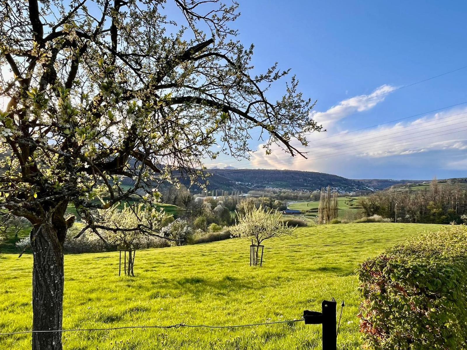 B&B Roudenhaff Echternach Luaran gambar